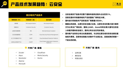 斯元商業(yè)咨詢2023年網(wǎng)絡安全科技供應鏈報告技術咨詢