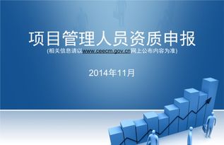 申請項目管理企業(yè)資質(zhì)與商務(wù)信息咨詢的條件指南