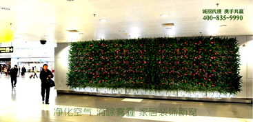 植彩坊加盟 以新材料技術引領家居裝飾新潮流